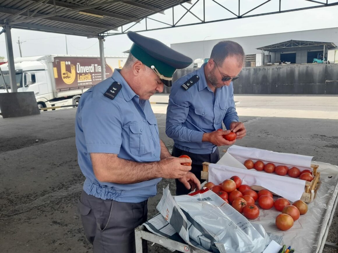 Dagestan imports approx. 81 thousand tons of fruit and vegetables 