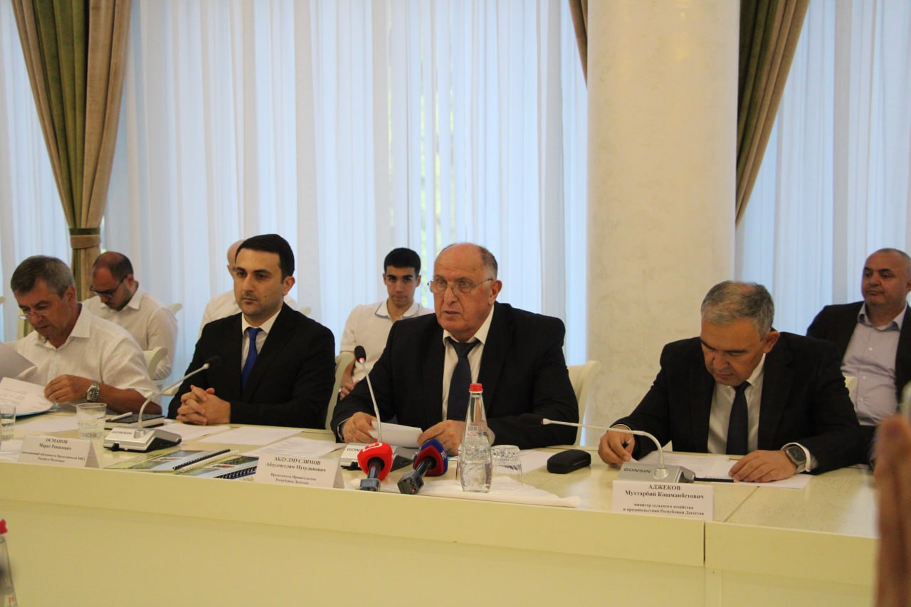 Trade turnover between Dagestan and Uzbekistan grows by 25% in 2024