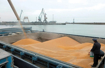 Rosselkhoznadzor across Dagestan control export of 19.6 thousand tons of grain 