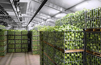 Dagestan severely lacks storage capacity for fresh agricultural products – authorities