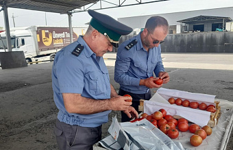 Dagestan imports approx. 81 thousand tons of fruit and vegetables 